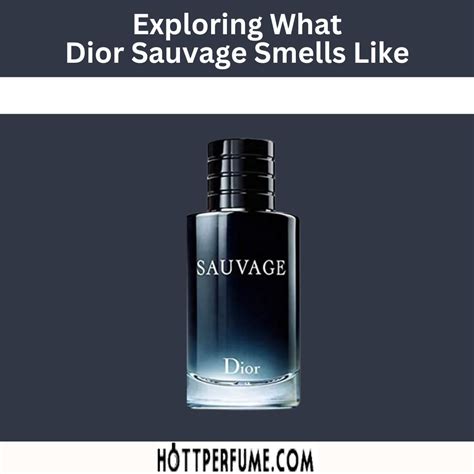 prezzo sauvage dior|what does Dior Sauvage smell like.